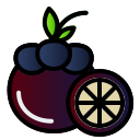 external food-fresh-fruit-creatype-filed-outline-colourcreatype icon
