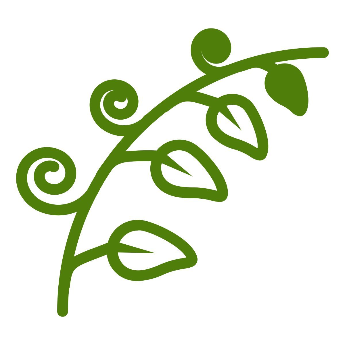 leaves icon