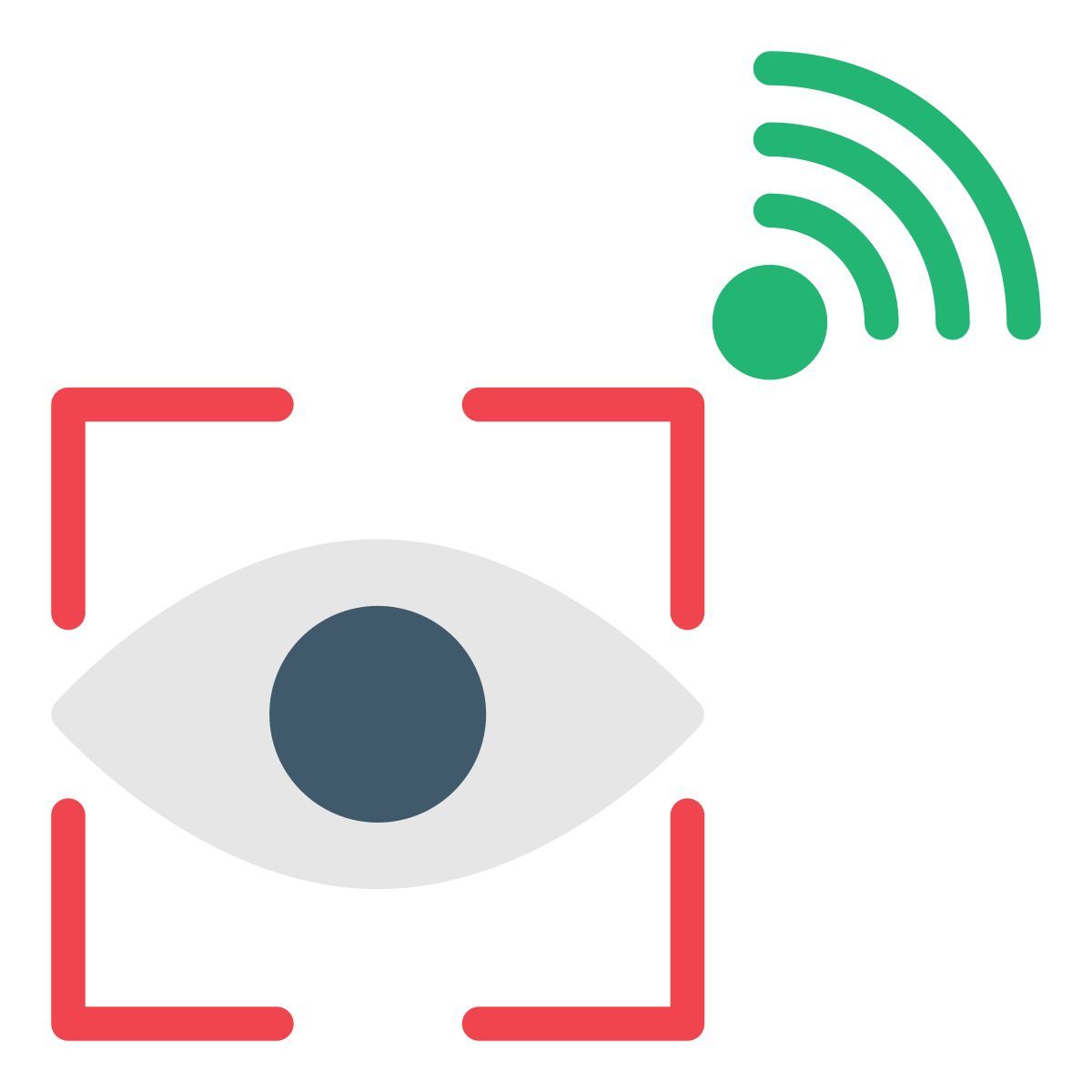 scan eye icon