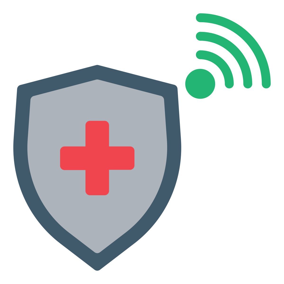 shield icon