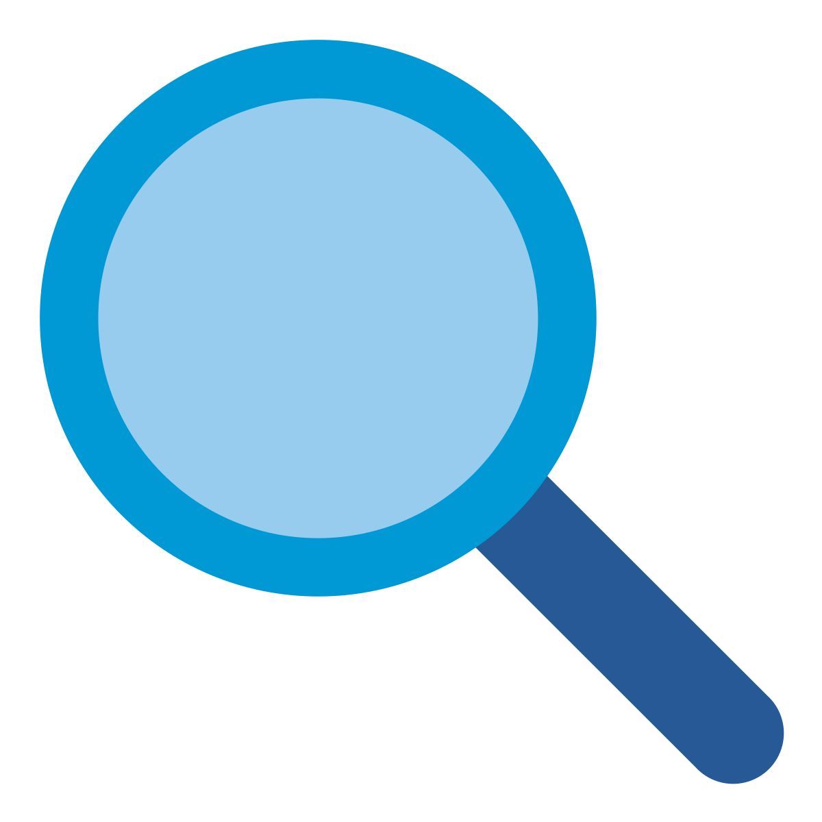 magnifier icon