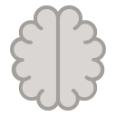 external brain-healthy-medic-creatype-flat-colourcreatype icon
