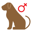 external dog-pet-shop-creatype-flat-colourcreatype icon