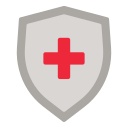 external shield-healthy-medic-creatype-flat-colourcreatype icon