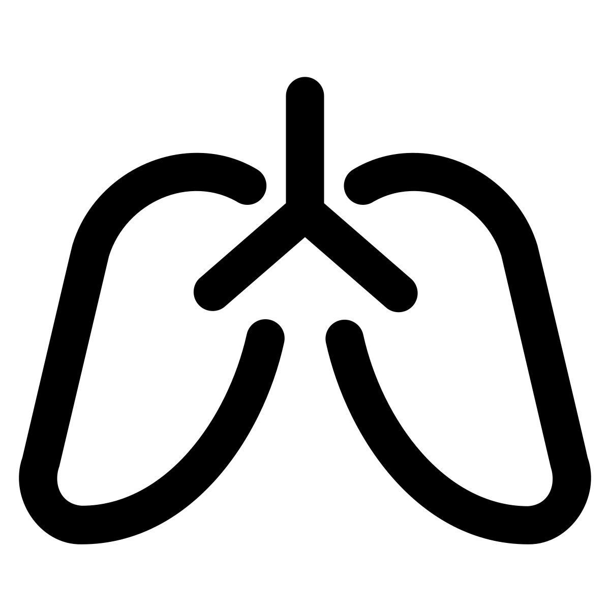 lungs icon