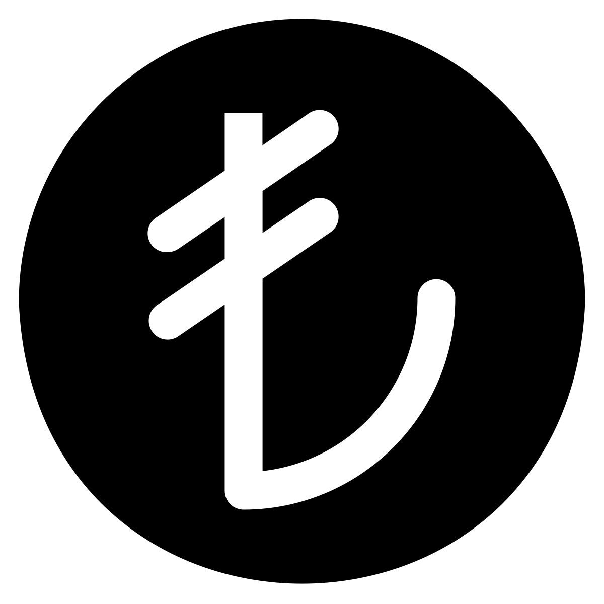 currency icon