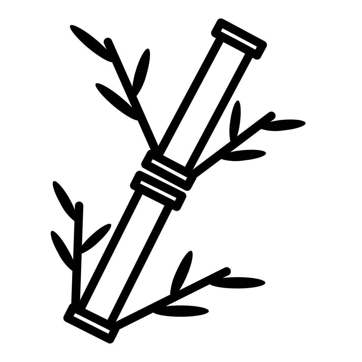 bamboo icon