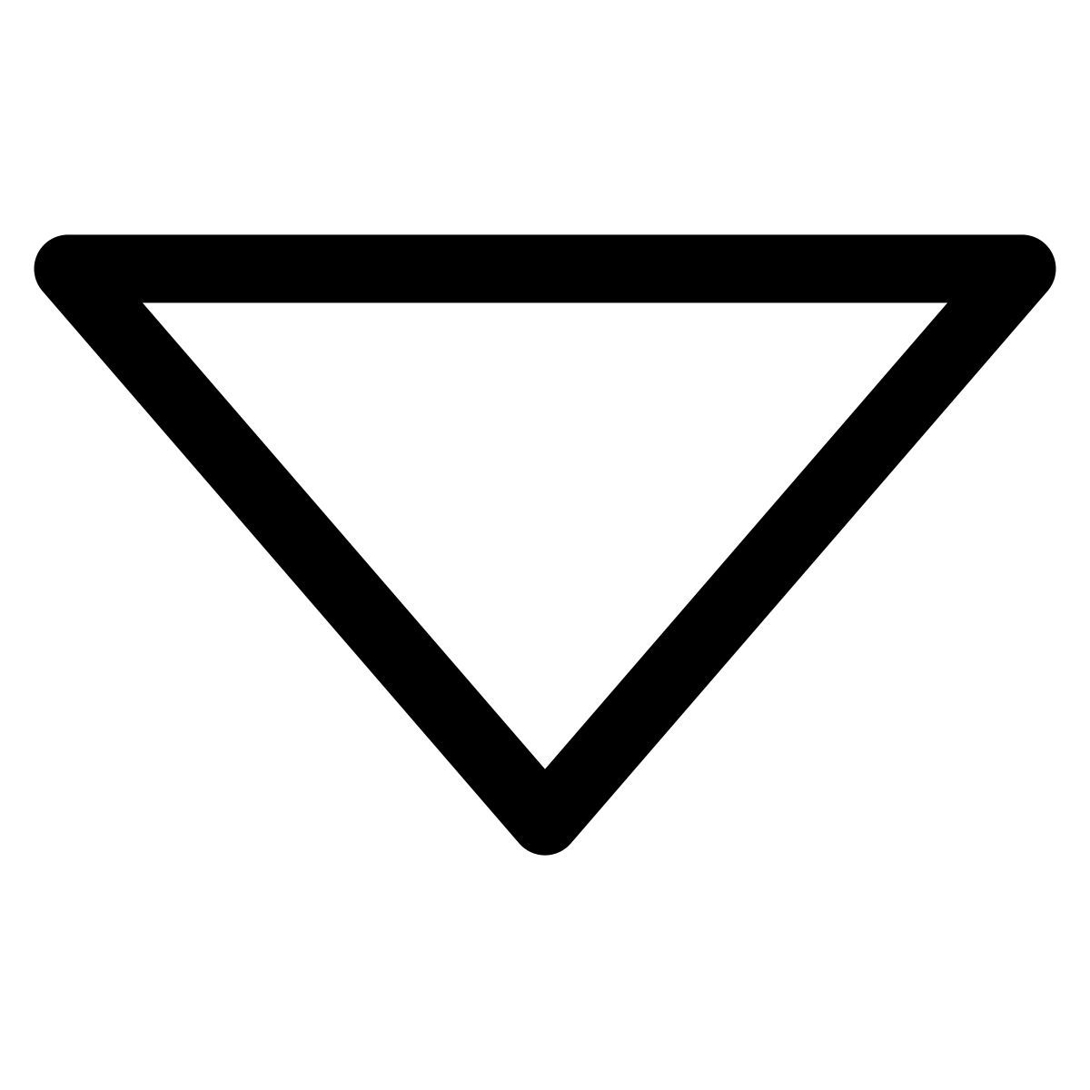 triangle icon