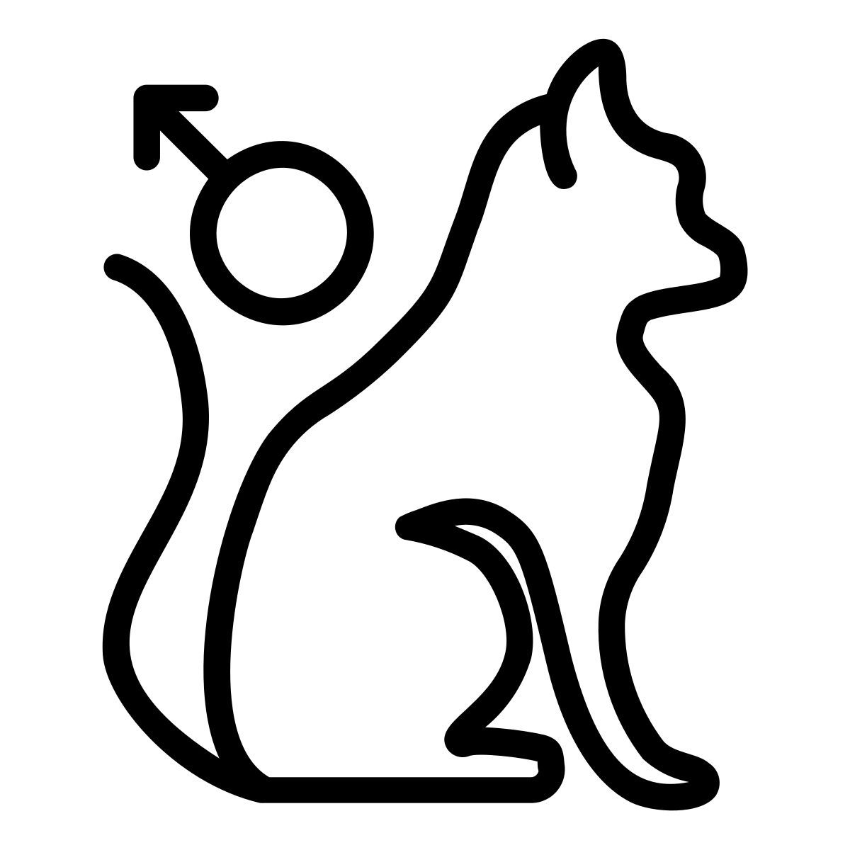cat icon