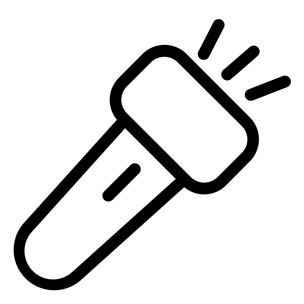 flash icon