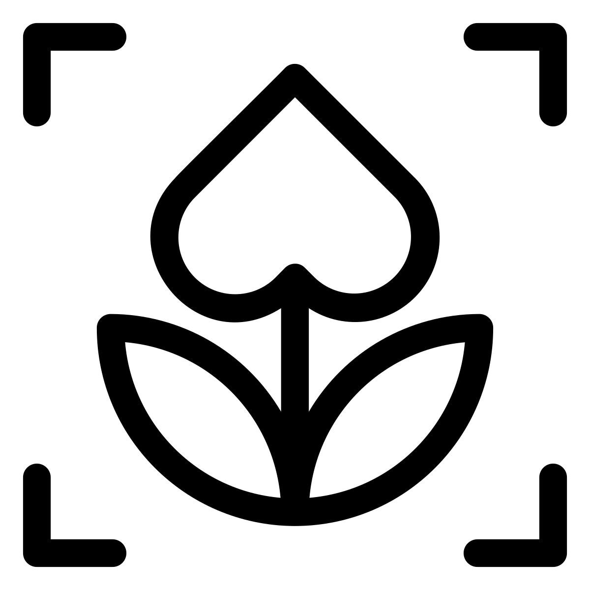macro mode icon