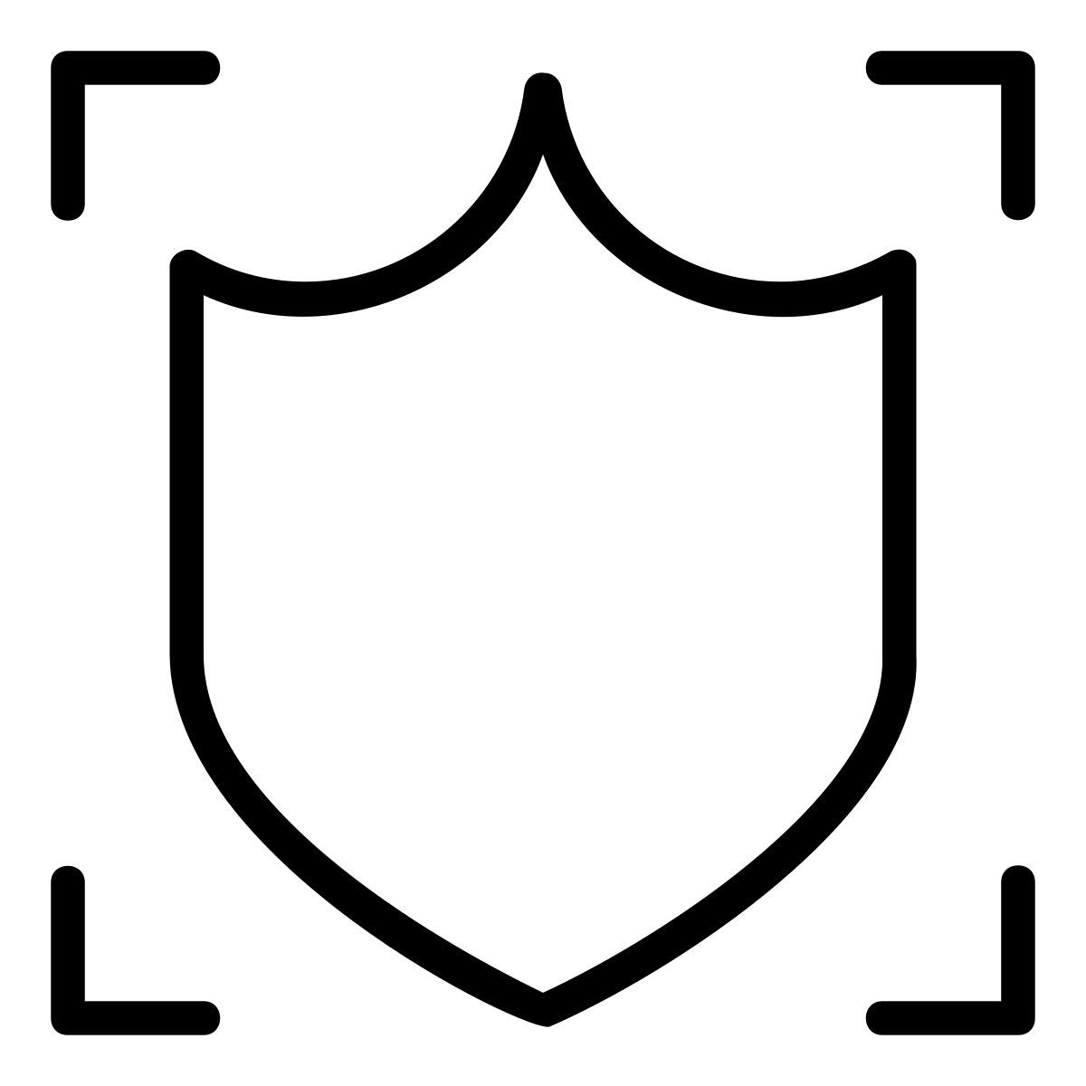 shield icon