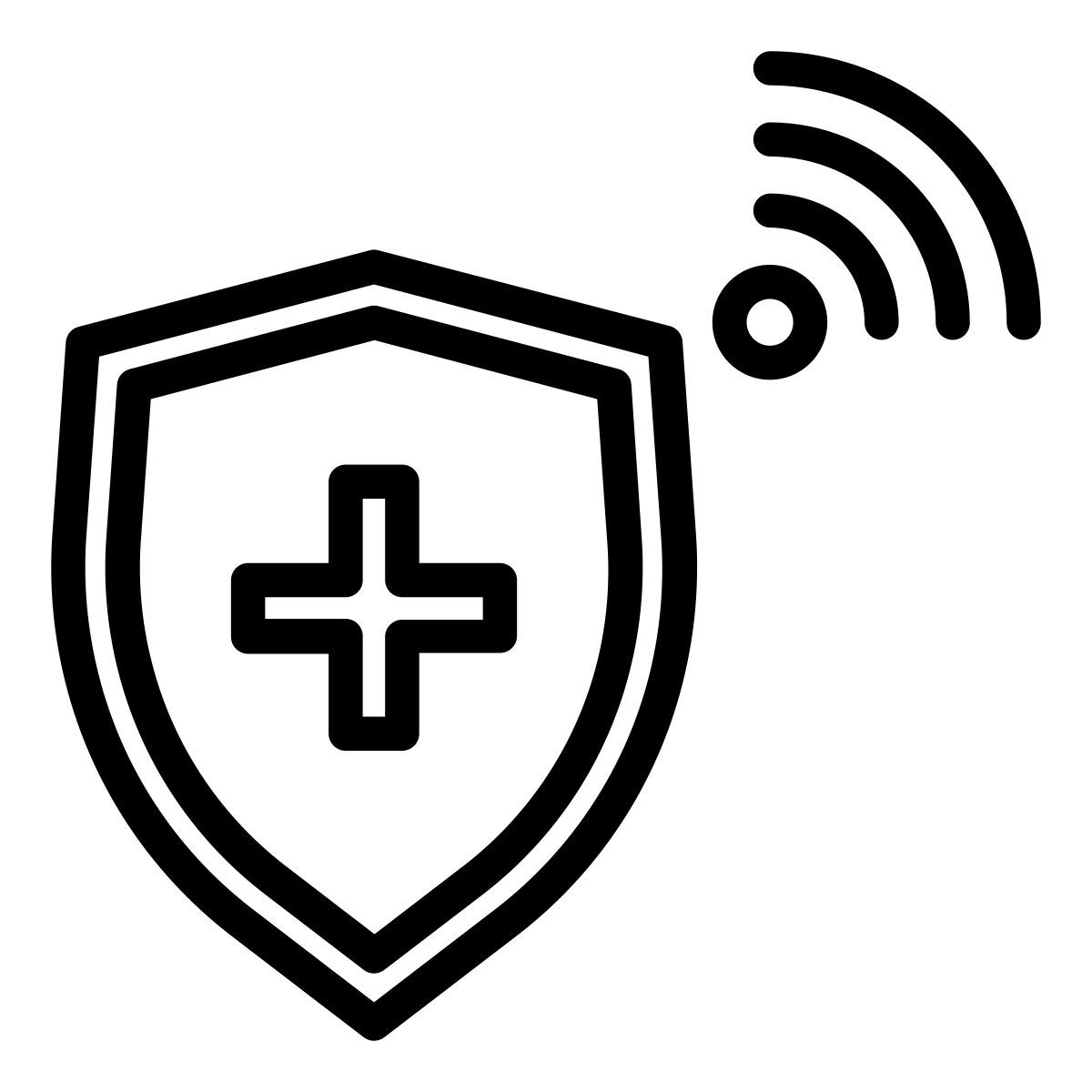 shield icon