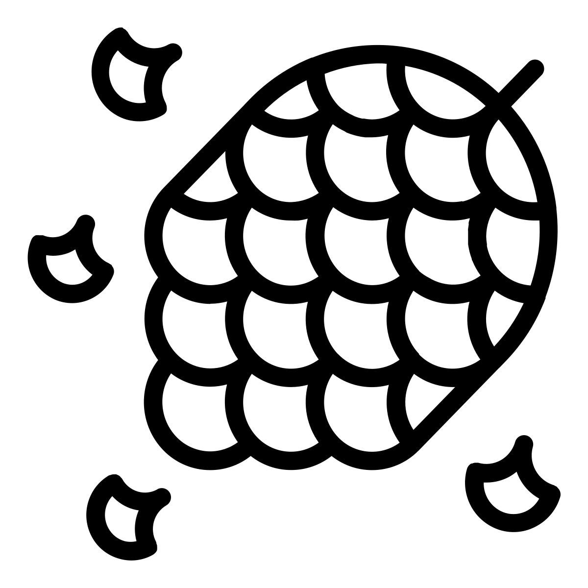 pine cone icon