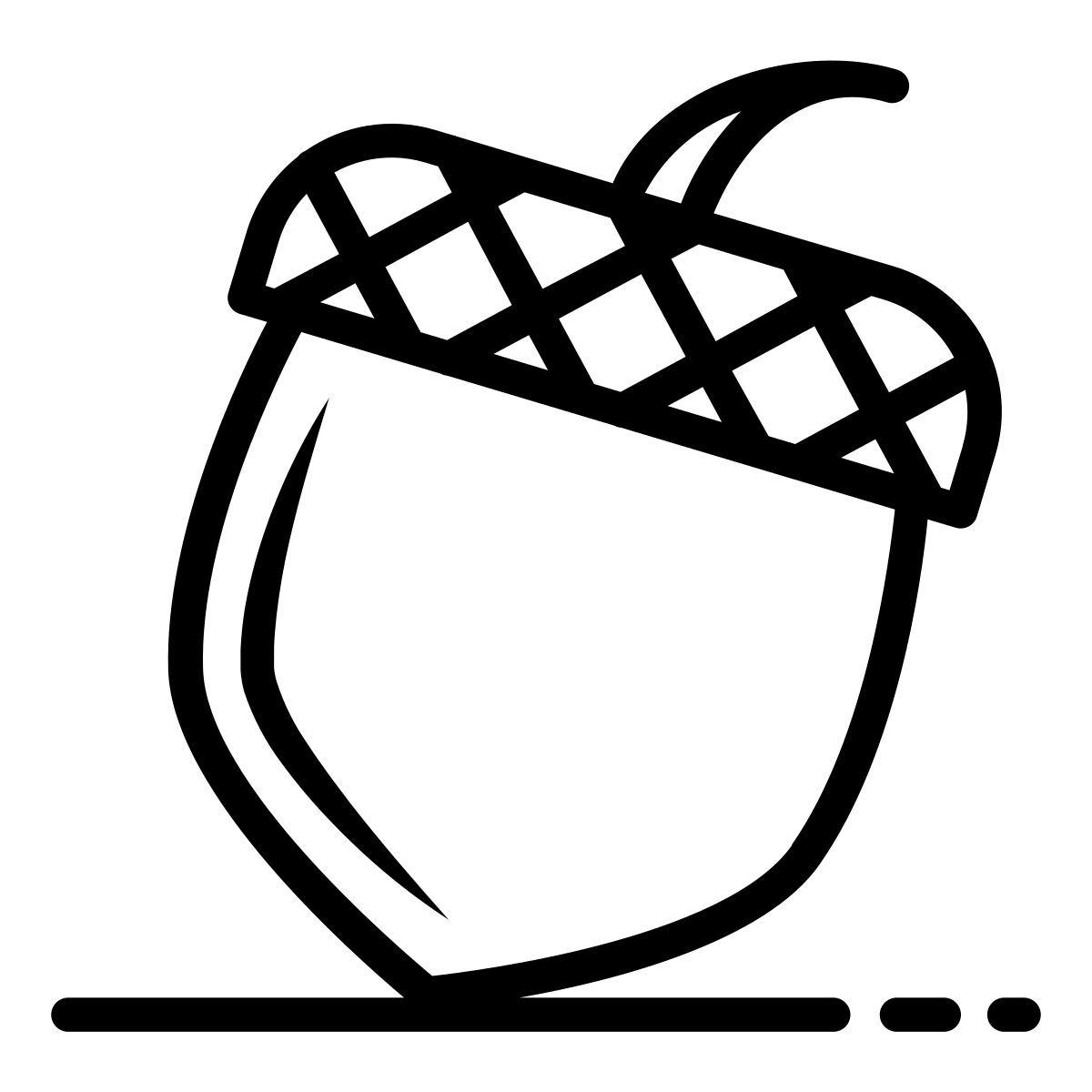 castanha icon