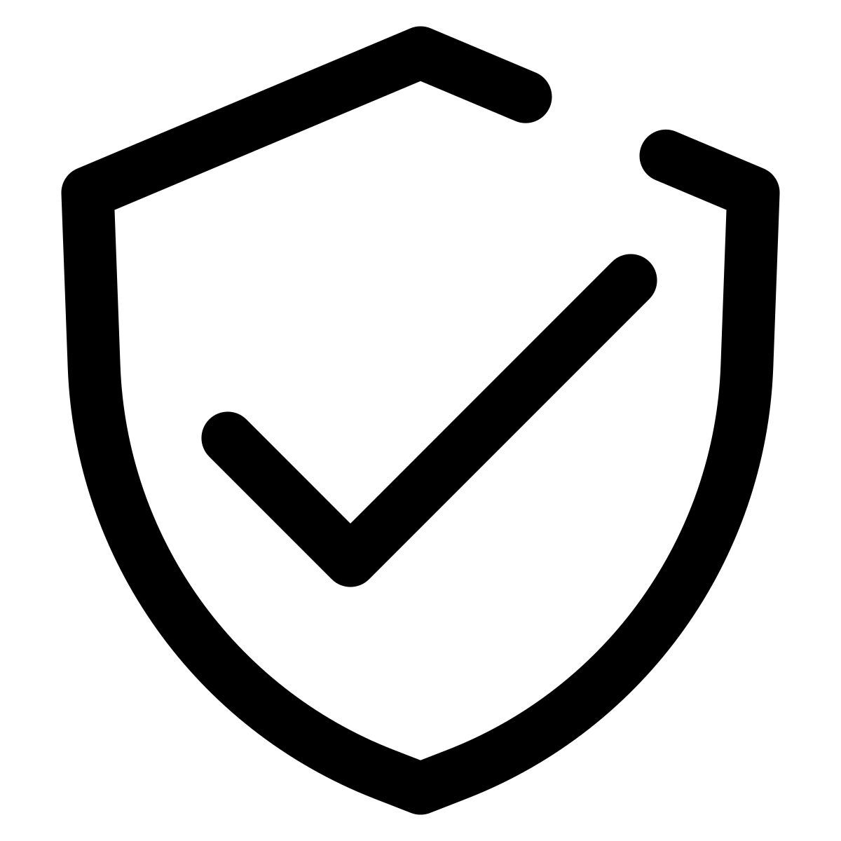 shield icon