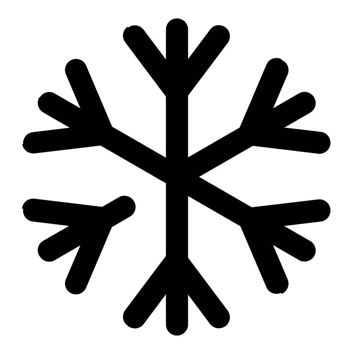 snow icon