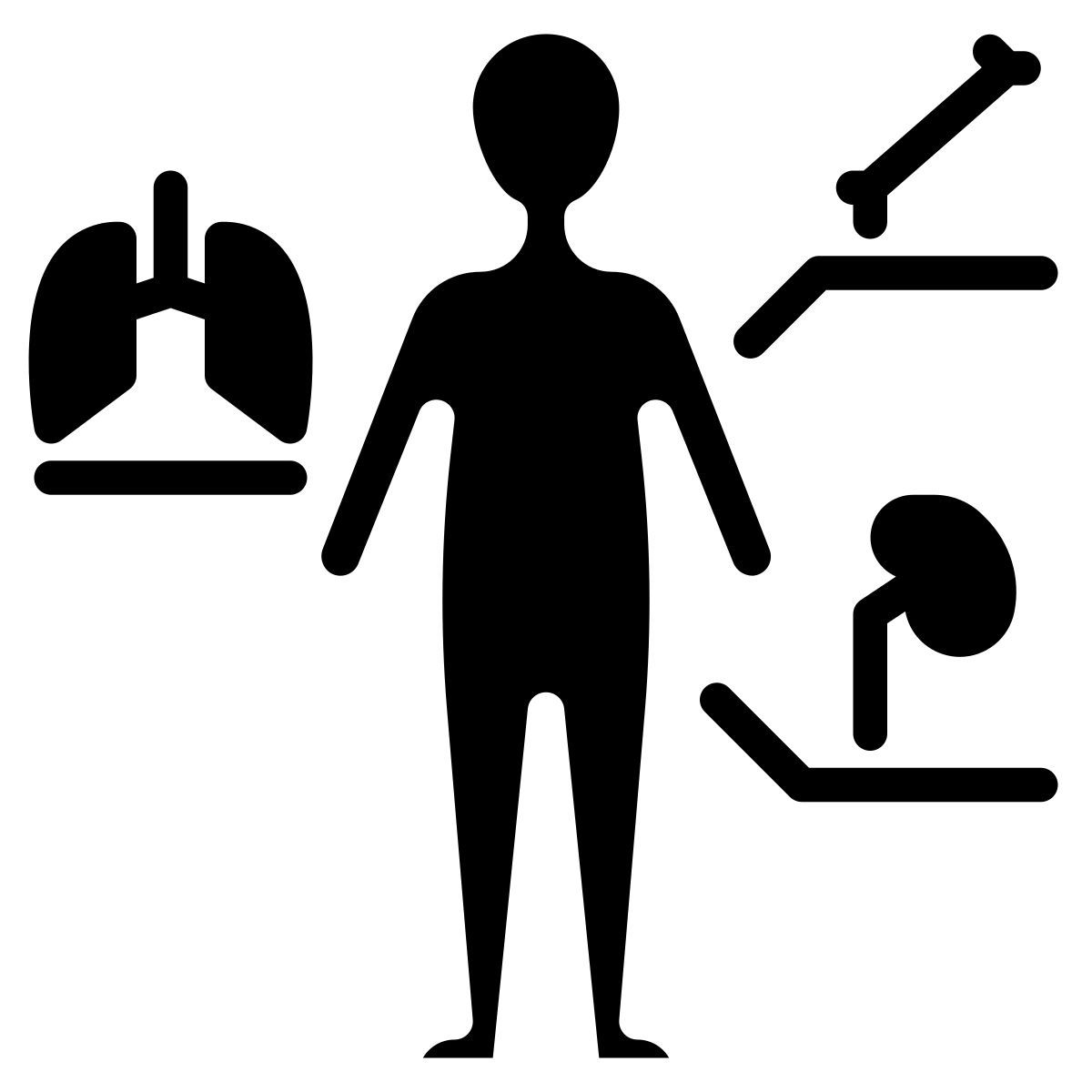 anatomy icon