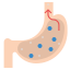 external stomach-medical-ddara-flat-ddara icon