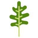 external arugula-vegetables-ddara-flat-ddara icon