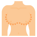 external breasts-beauty-and-spa-ddara-flat-ddara icon