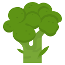 external broccoli-vegetables-ddara-flat-ddara icon