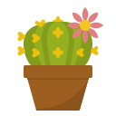 external cactus-garden-and-farm-ddara-flat-ddara icon