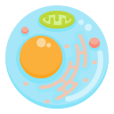 external cell-biology-and-science-ddara-flat-ddara icon