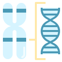 external chromosome-genetics-ddara-flat-ddara icon