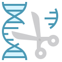 external gene-genetics-ddara-flat-ddara icon