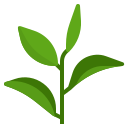 external green-tea-natural-scent-ddara-flat-ddara icon
