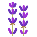 external lavender-natural-scent-ddara-flat-ddara icon