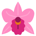 external orchid-natural-scent-ddara-flat-ddara icon