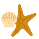 external starfish-summer-ddara-flat-ddara icon