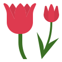 external tulip-natural-scent-ddara-flat-ddara icon