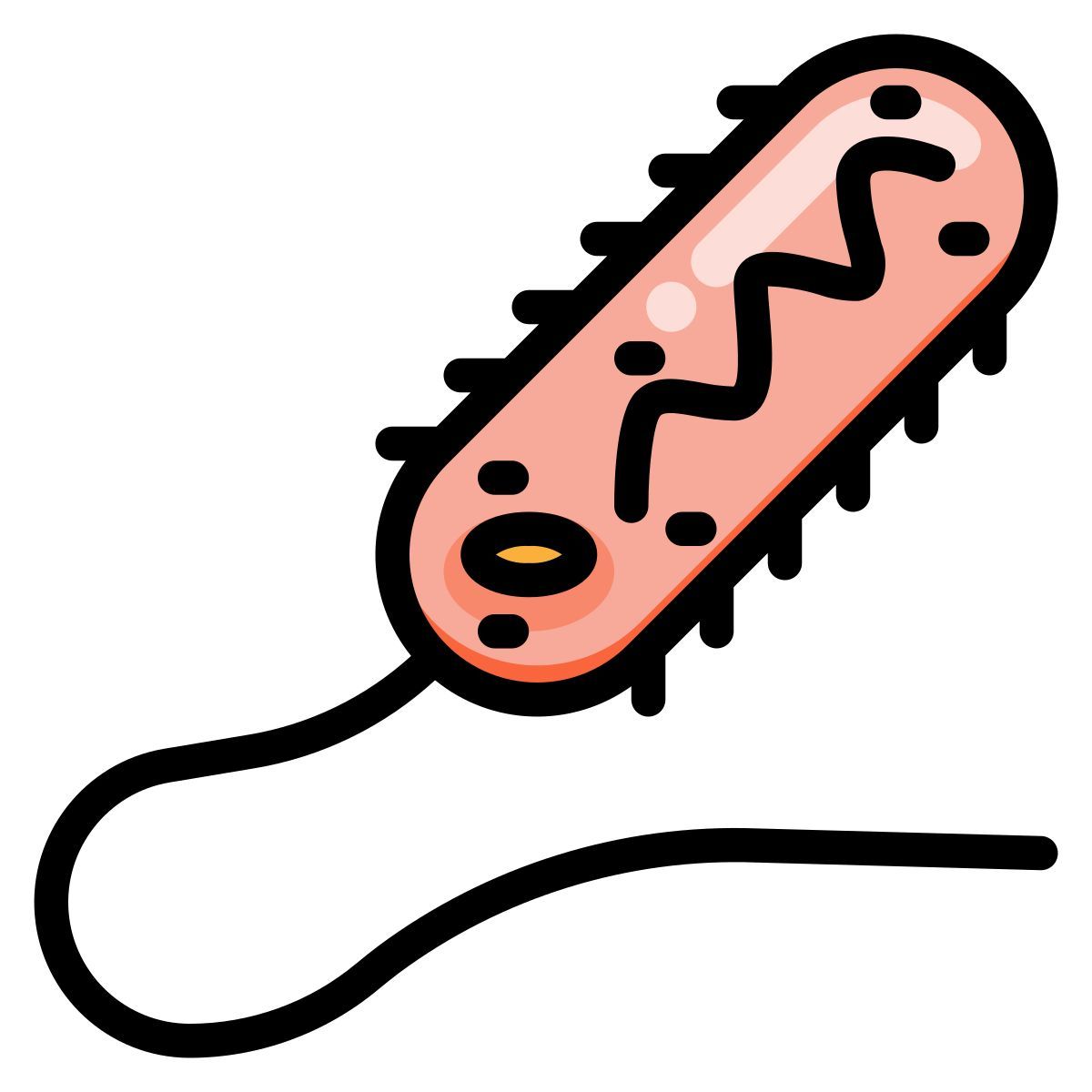 bacteria icon