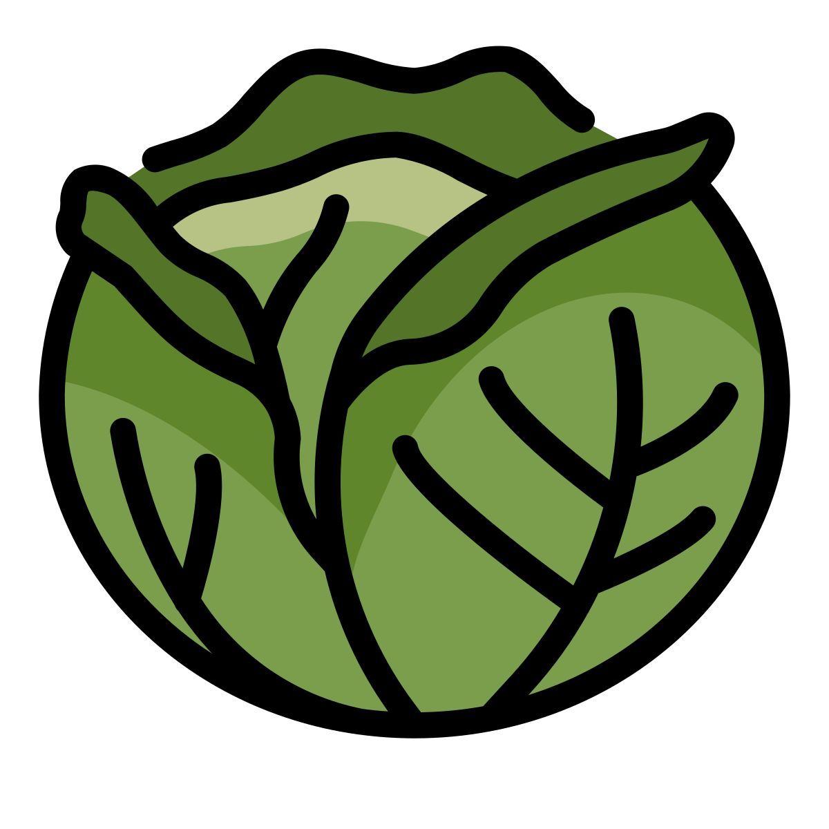 cabbage icon
