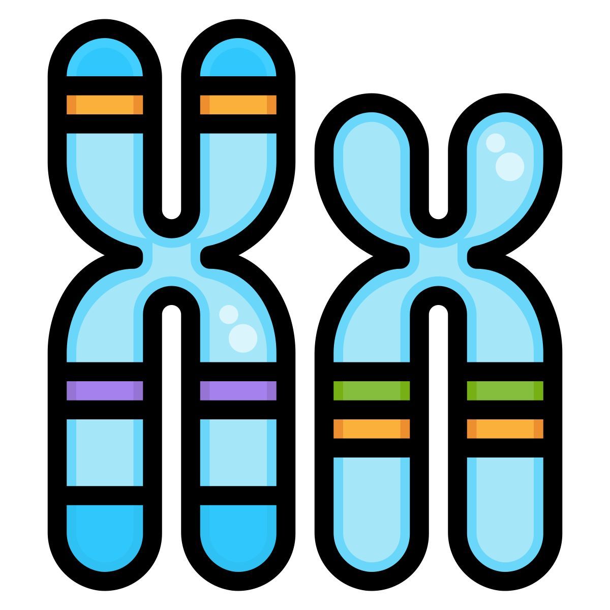 chromosome icon