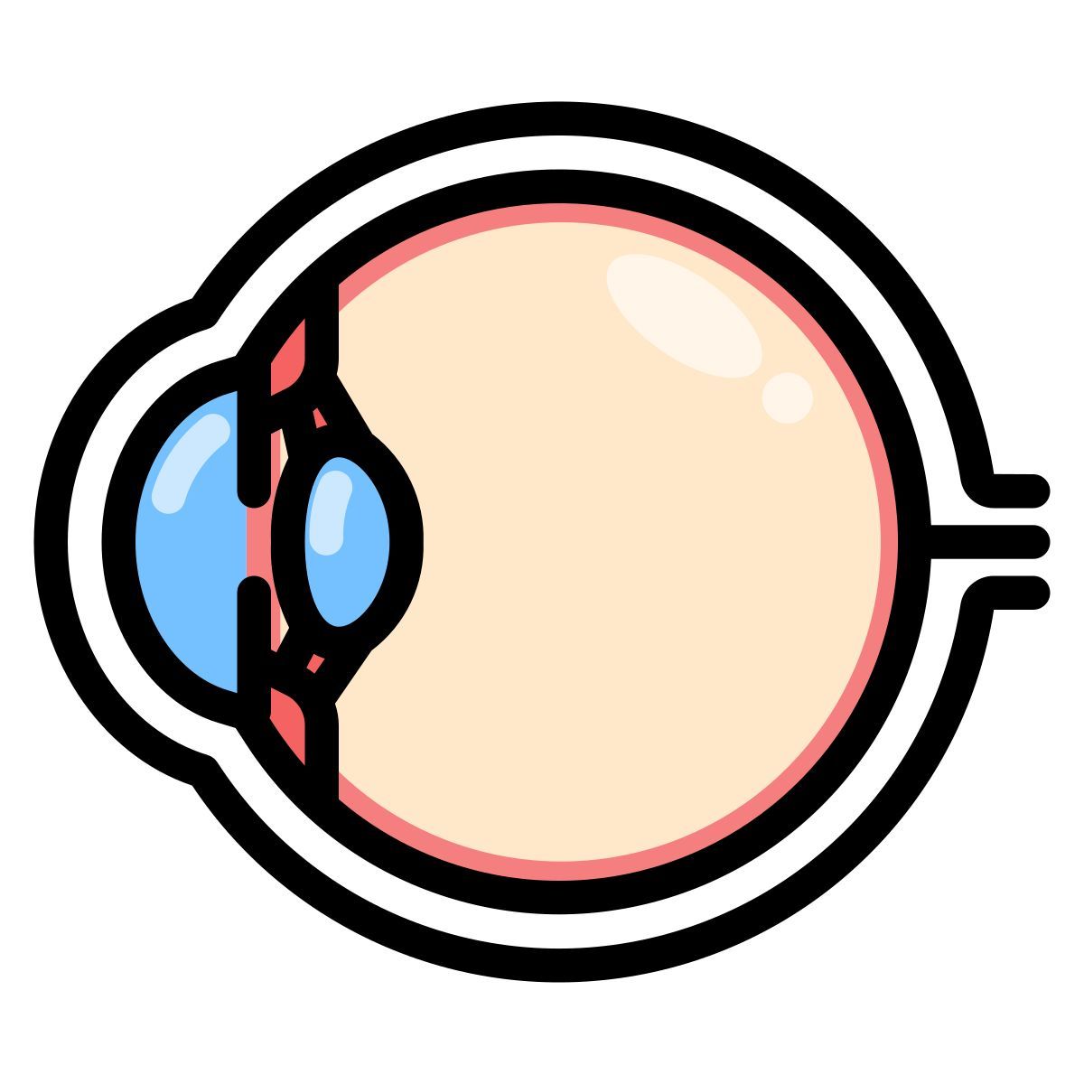 eyeball icon