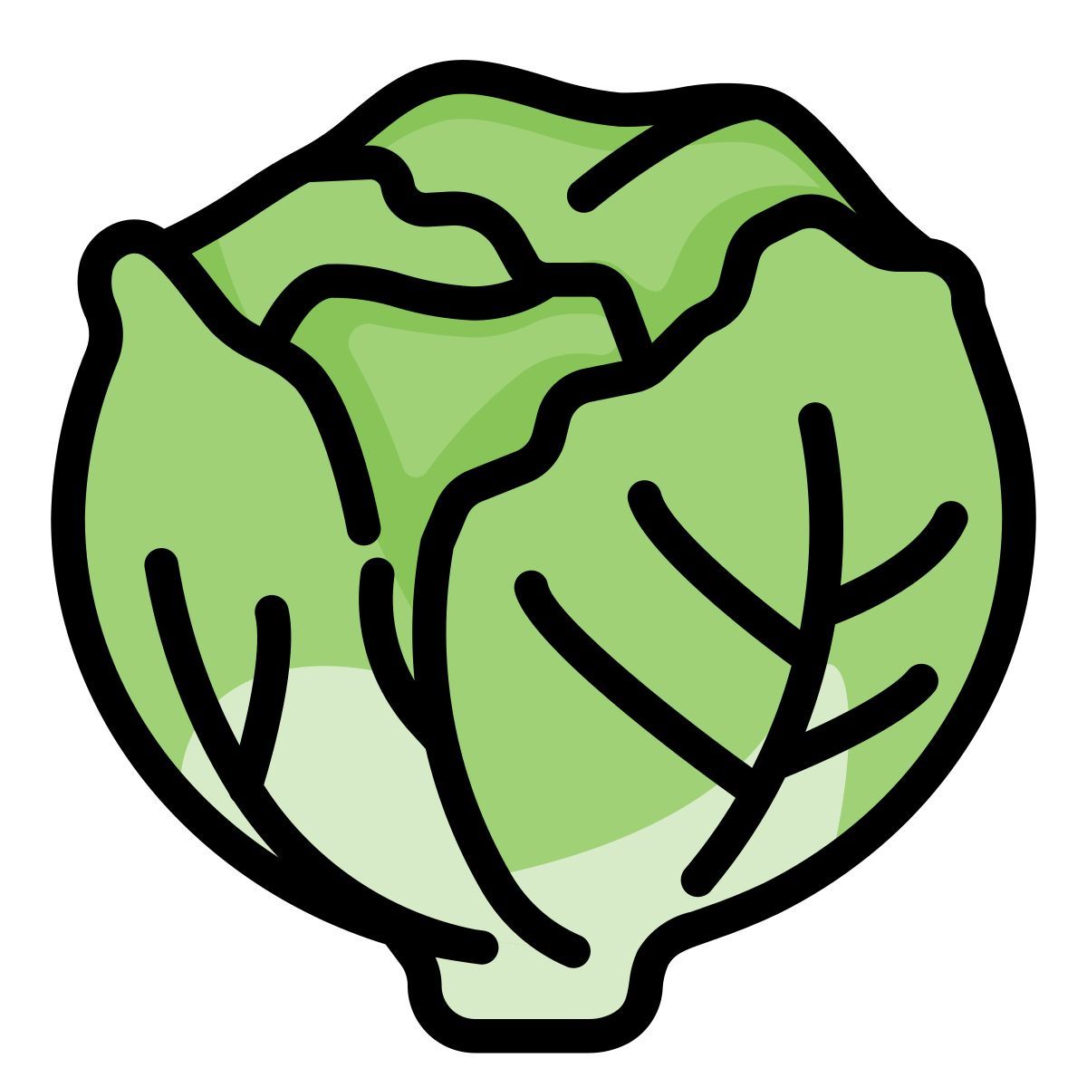 lettuce icon