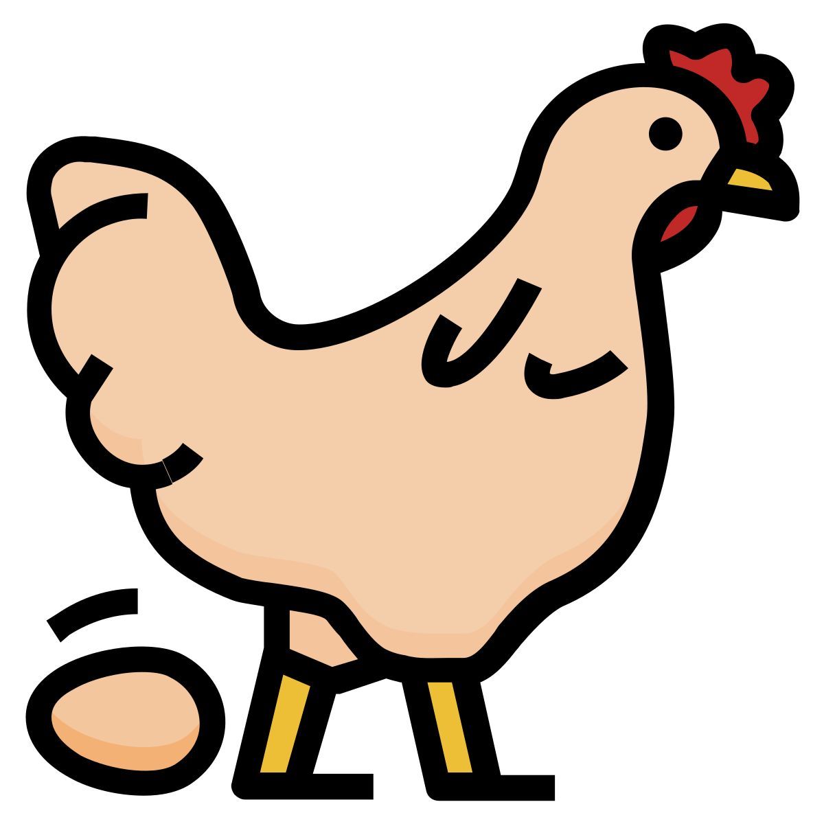 poultry icon