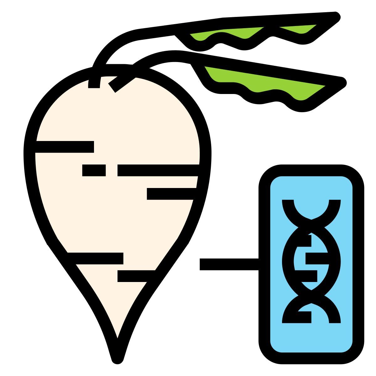 Zuckerrübe icon