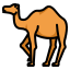 camel-Islamic-animal-desert-islam icon