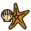 external starfish-summer-ddara-lineal-color-ddara icon