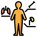 external anatomy-biology-and-science-ddara-lineal-color-ddara icon