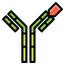 external antibody-biology-and-science-ddara-lineal-color-ddara icon