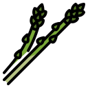 external asparagus-vegetables-ddara-lineal-color-ddara icon
