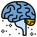 external brain-health-ddara-lineal-color-ddara icon