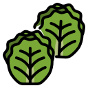 external brussels-sprouts-vegetables-ddara-lineal-color-ddara icon
