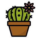 external cactus-garden-and-farm-ddara-lineal-color-ddara icon